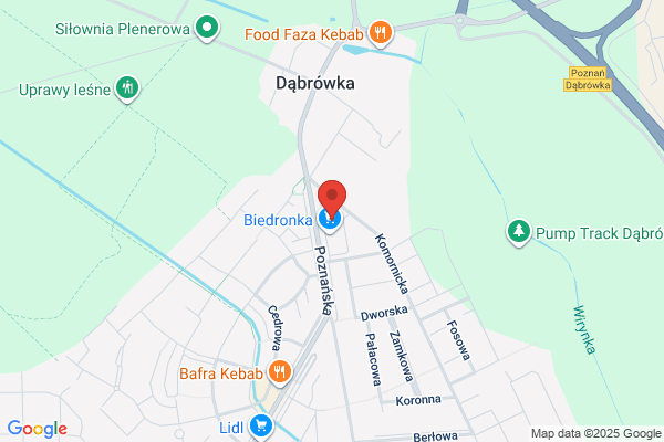Dabrówka. Apteka. Leki gotowe, recepturowe, homeopatyczne