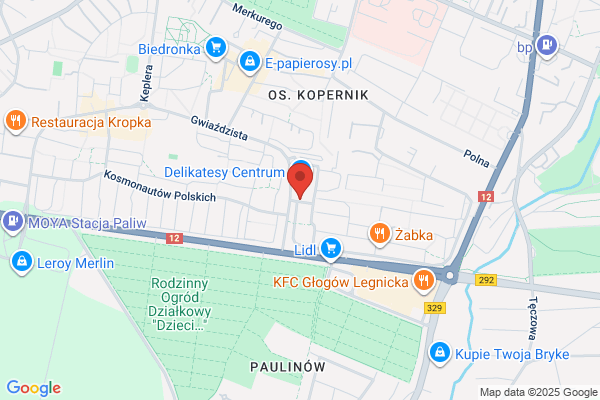 Abakus. Malachow-Lasota M., biegly rewident