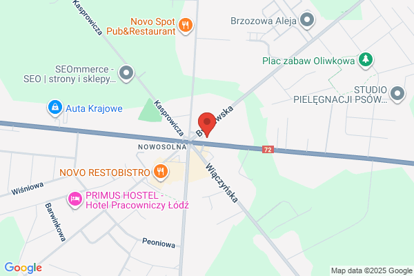 Bank Spóldzielczy w Andrespolu. Oddzial w Nowosolnej