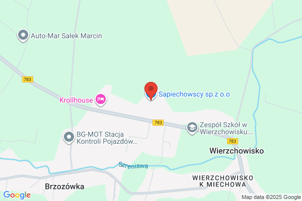 MCS. Sapiechowska - Krakowiak A.