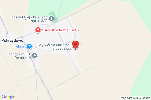 Bakli. Srodki enzymatyczne