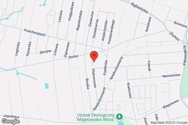 Ale Kino Goja. Sitodruk, offset. Gojawiczynska W.