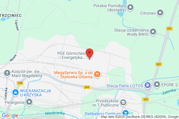 BOT Górnictwo i Energetyka SA