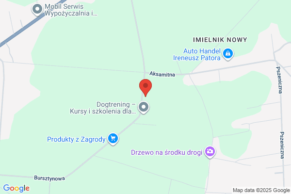 Pronline.pl. Pisarski M.