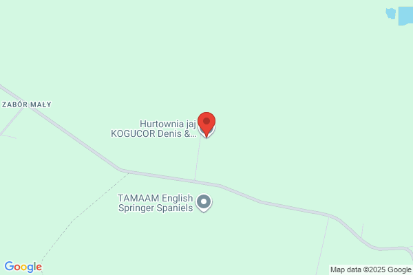 Kozak Zdzislaw. Sprzedaz jaj
