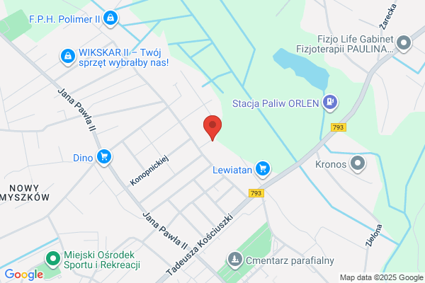 Myszki Strefa. Pogotowie komputerowe. Pozycjonowanie