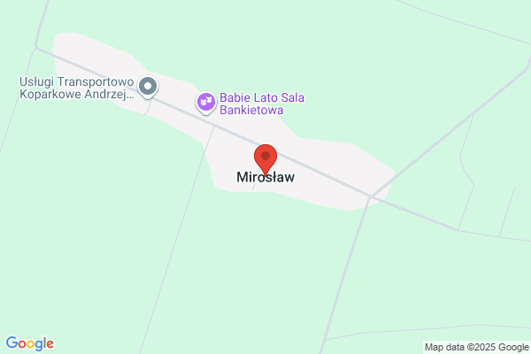 Mirosław Wiśnik