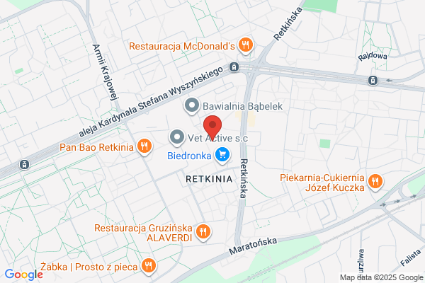 RTG zebów