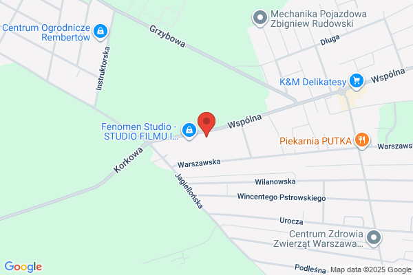 Stalmaszczyk-Paul Malgorzata, dr nauk med. stomatolog