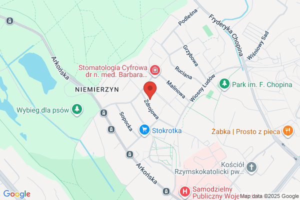 Abrazo. Wycinka i przycinka drzew