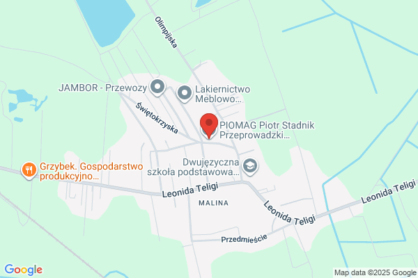 Piomag. Przedsiebiorstwo uslugowo -transportowe. Nowak P.