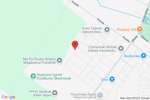 Magiel elektryczny