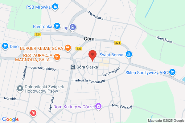 Dom Maklerski Banku Zachodniego WBK SA
