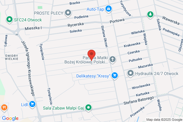 Sepi. Marketing. Drozdzalski S.