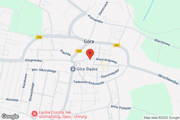 OBREM. Osrodek Badawczo - Rozwojowy Ekologii Miast