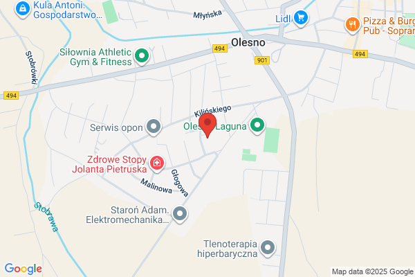 Kleopatra. Zaklad. Nowicka J.