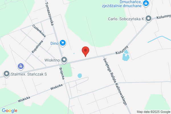 Michalski Zbigniew. Sklad wegla, koksu