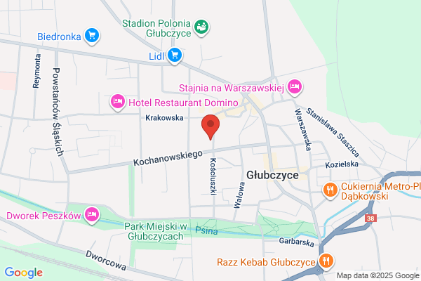 Paliszewska Anna. Pracownia protetyki stomatologicznej