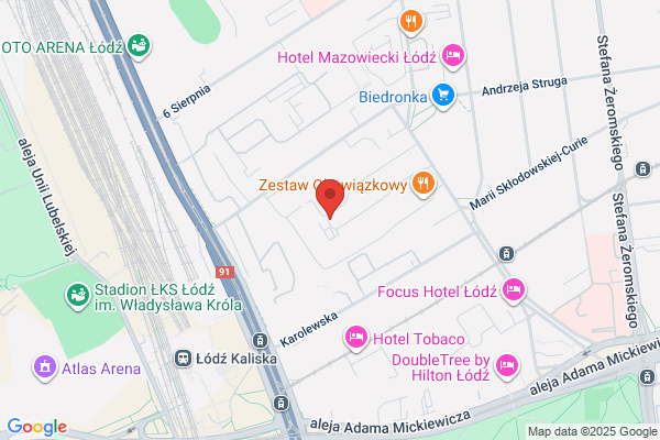 Adamczewska Jadwiga, biegly rewident. Badanie sprawozdan finansowych