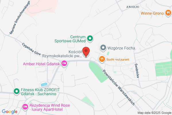 WOS. Walczykowska D.