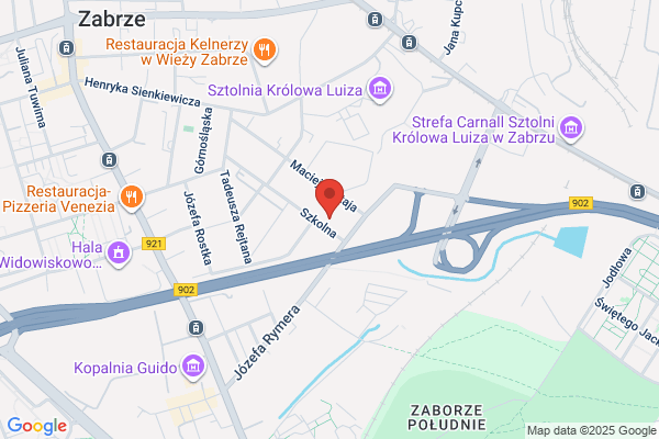 Concepton. Kozinska M.