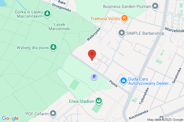 Proxima. Serwis samochodowy