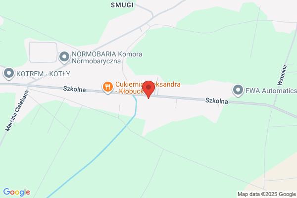 Mielczarek Miroslaw. Uslugi motoryzacyjne i diagnostyka