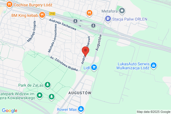 Stacja obslugi samochodów Daewoo. Ziarkowski J.