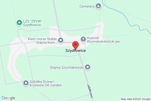 Commerce Service. S.j. Wyposazenie sklepów