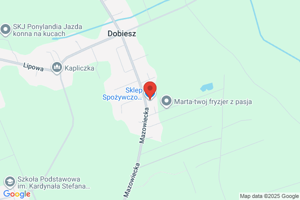 Dobiesz Wojciech. Sklep przemyslowo - spozywczy