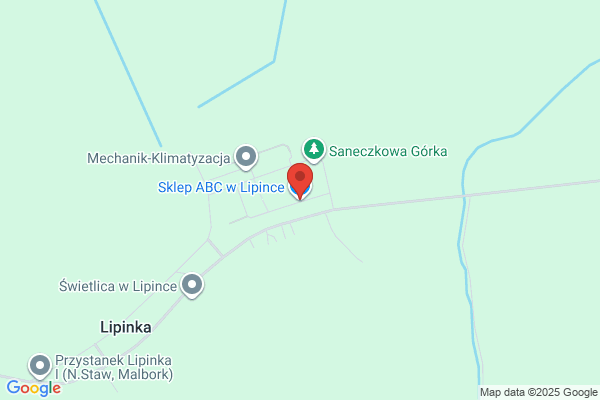Borecka Anna. Sklep spozywczy(