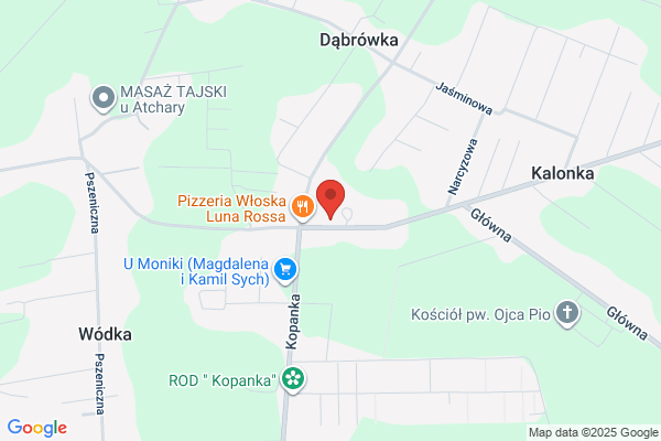 Fijalkowska Danuta. Sklep spozywczy