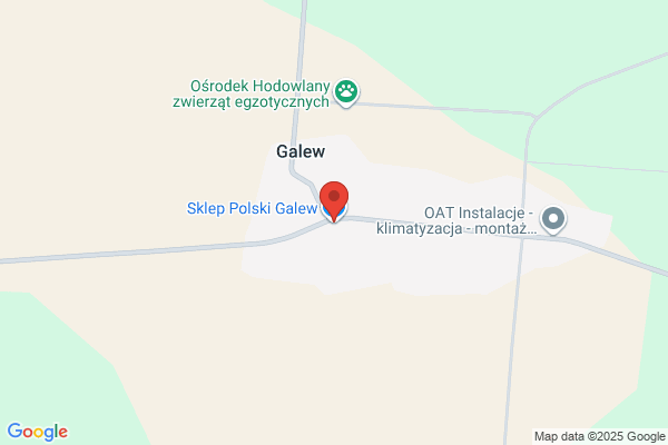 Galecka T. Sklep spozywczy