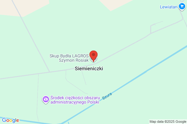 Rosiak Radoslaw i Szczesniak Krzysztof. S.j.