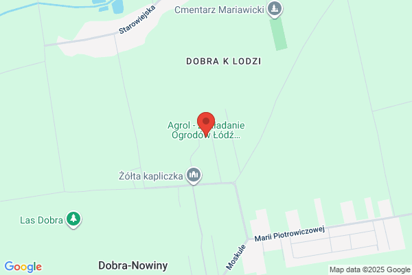 Pilarz. Uslugi ogrodnicze. Walczak D.