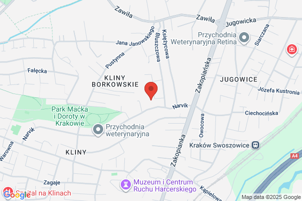 Twój Ogród. Sprzedaz krzewów roslin ozdobnych. Aranzacje terenów zielonych