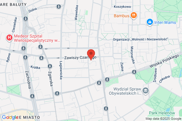 Zadbany Ogród. Pielegnacja, konserwacja ogrodów. Bochenski M.
