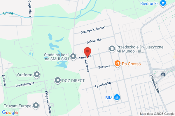 Zieldruk. Projektowanie i wykonywanie terenów zielonych, roboty drogowe. Strzemecki Stanislaw, inz.