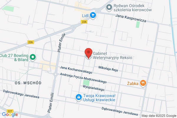 Reksio. Gabinet weterynaryjny