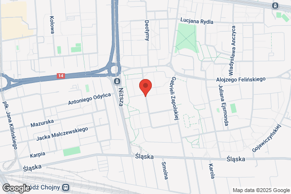 Tapex. Firany, zaslony, tapety