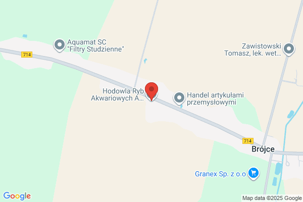 Ciamciak Teresa. Hodowla rybek akwariowych