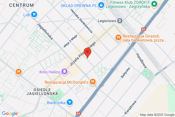 Zielony Slon. Wideoteka. Wacowski J.