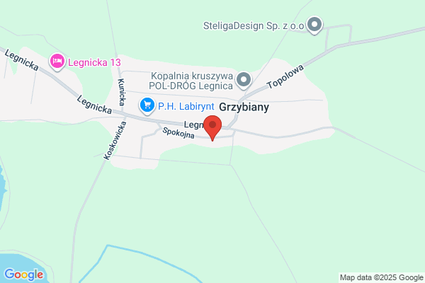 Rojan. PHU. Scibor-Rylski R.