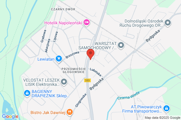 Witruszynski Ryszard. Szkolenie kierowców