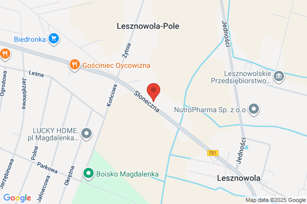 Azalia. Hurtownia kwiatów doniczkowych