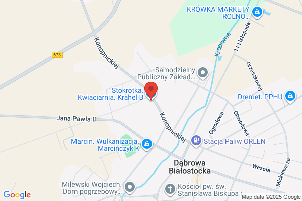 Stokrotka. Kwiaciarnia. Gabruk D.