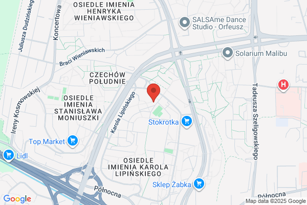 Adamiec Tomasz. Ukladanie, renowacja parkietów i paneli