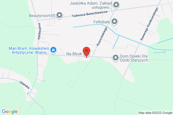 Almax. Czyszczenie dywanów. Stolecka M.