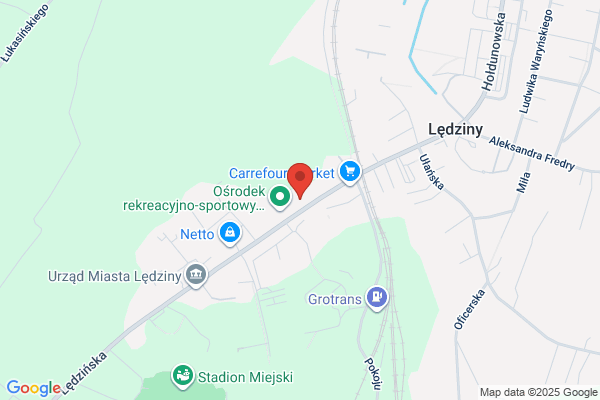 Król Ewelina. Wynajem samochodów osobowych