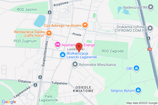 Anmar. Eksport, import. Produkcja wózków dzieciecych. Kedziora A.M.